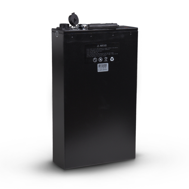 skuter-elektryczny-iamelectric-cagoo-white-detal-10 kopia