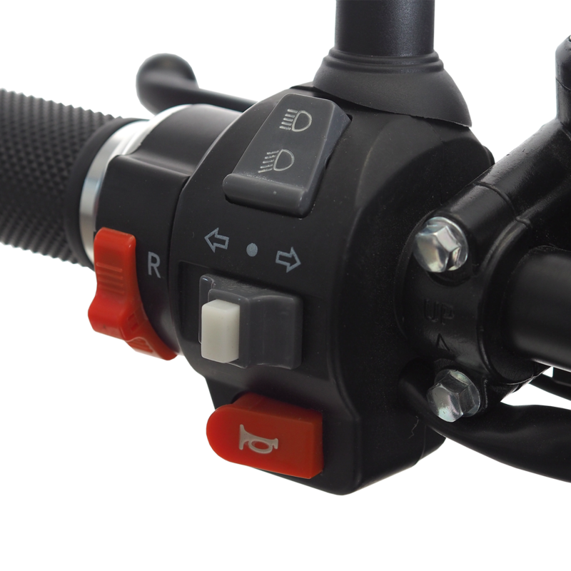 skuter-elektryczny-iamelectric-cagoo-white-detal-4 kopia