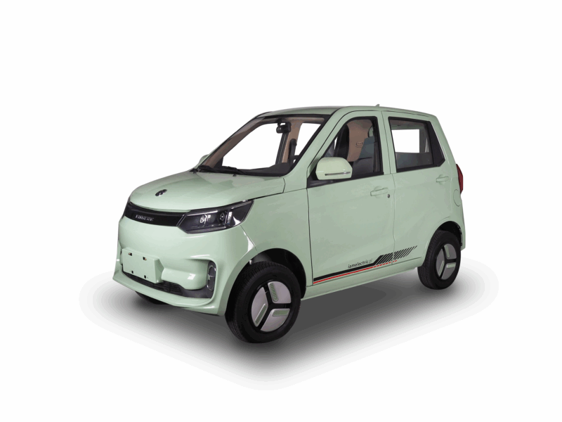 shark_mint_przód_skos2