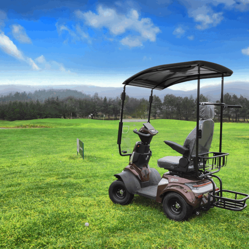 golfcart lifestyle 2