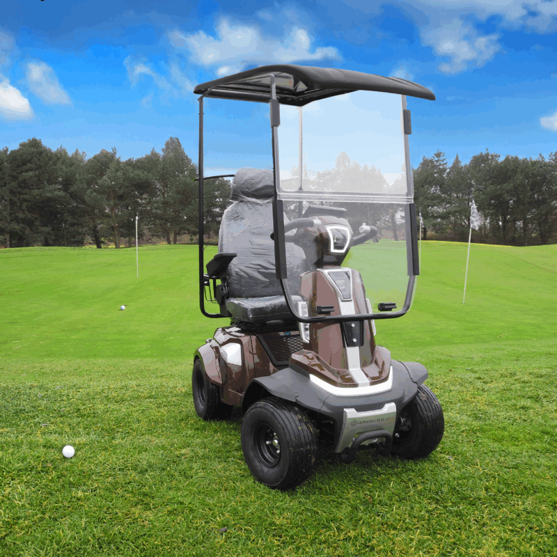 golfcart lifestyle 3