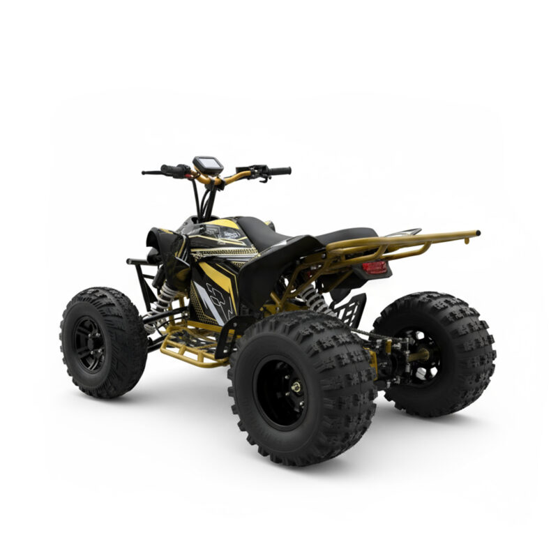 quad-monster-skos-tył