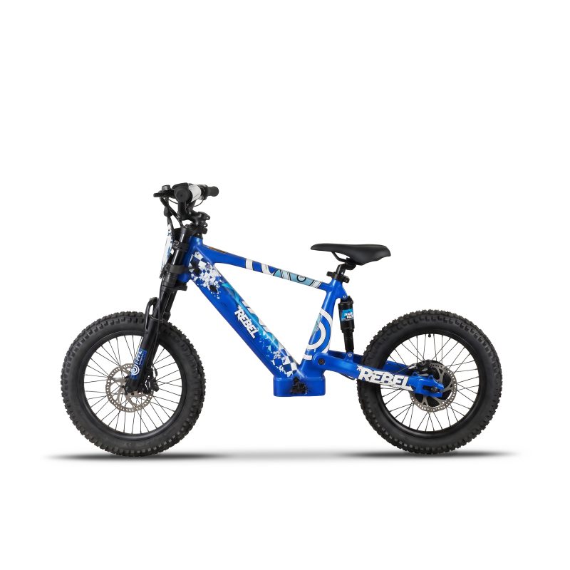 rebel-18-blue-bok-2
